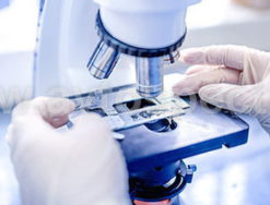 Мобильная лаборатория для ПЦР диагностики на базе ГАЗ C4